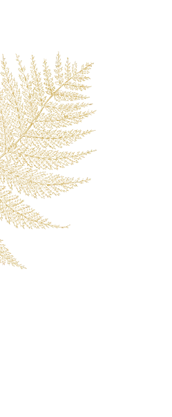 Влево в низ