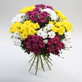 Моно букет с хризантемами &laquo;Яркие брызги&raquo; от интернет-магазина «Донна Роза» в Кемерове
