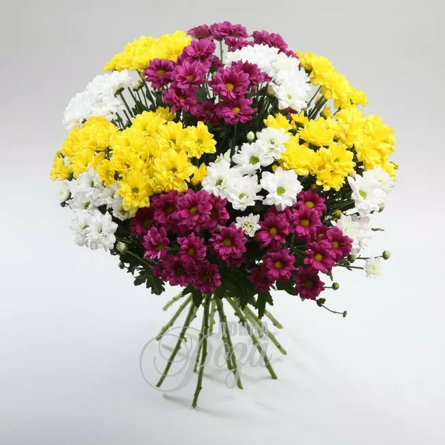 Монобукет с хризантемами &laquo;Яркие брызги&raquo;