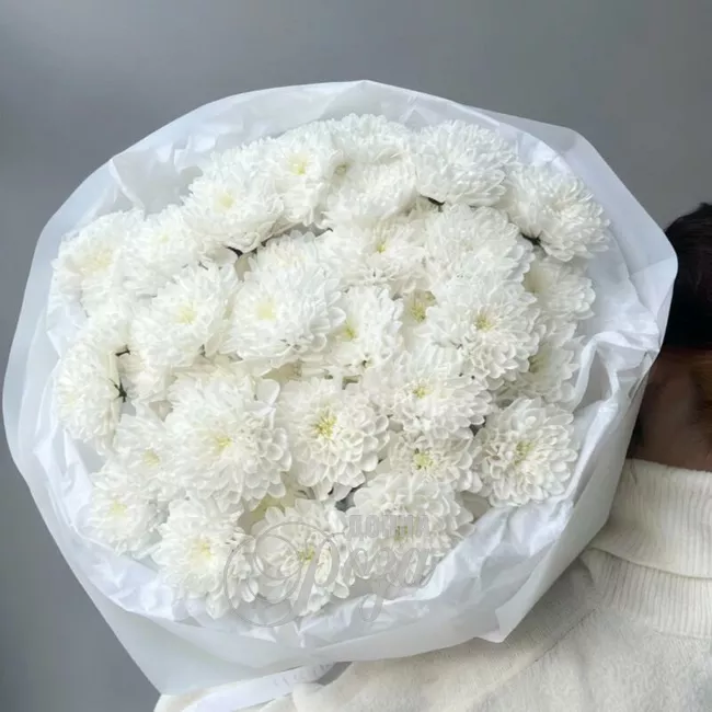 Монобукет из хризантем &laquo;Облачко&raquo; 1