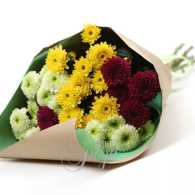 Монобукет из хризантем &laquo;Сочиняй мечты&raquo;