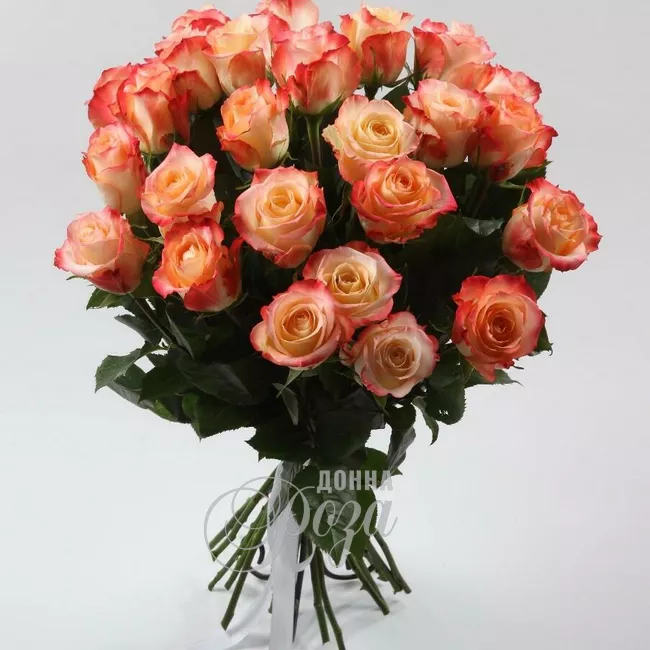 Монобукет из роз &laquo;Пандора&raquo;