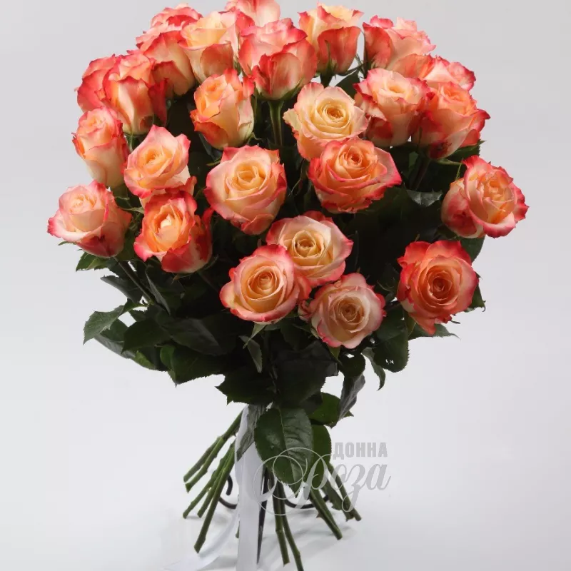 Монобукет из роз &laquo;Пандора&raquo;