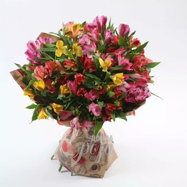 Монобукет с альстромериями &laquo;Ботаника&raquo;