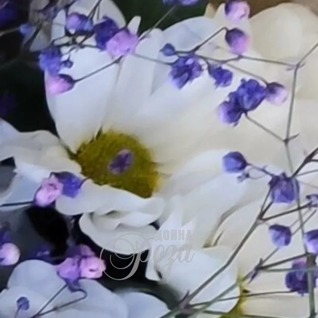 Сборный букет с хризантемами &laquo;Нежность&raquo; 2