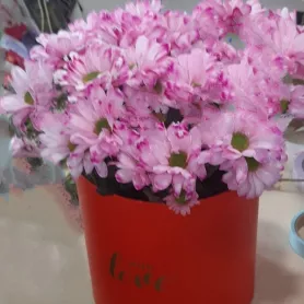 Цветы в шляпной коробке &laquo;Розовый закат&raquo; от интернет-магазина «Донна Роза» в Кемерове