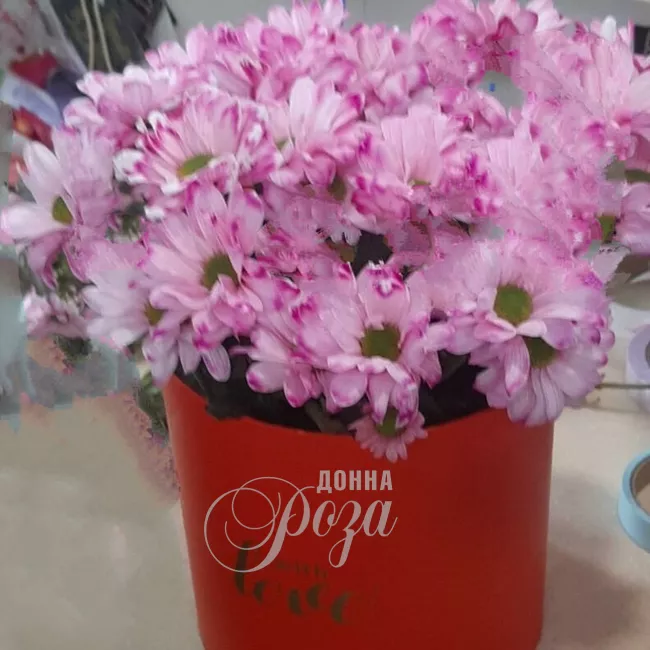 Цветы в шляпной коробке &laquo;Розовый закат&raquo;