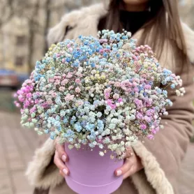 Композиция в коробке &laquo;Северное сияние&raquo; от интернет-магазина «Донна Роза» в Кемерове