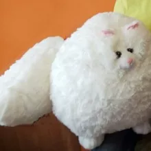 Мягкая игрушка &laquo;Котофей&raquo; от интернет-магазина «Донна Роза» в Кемерово