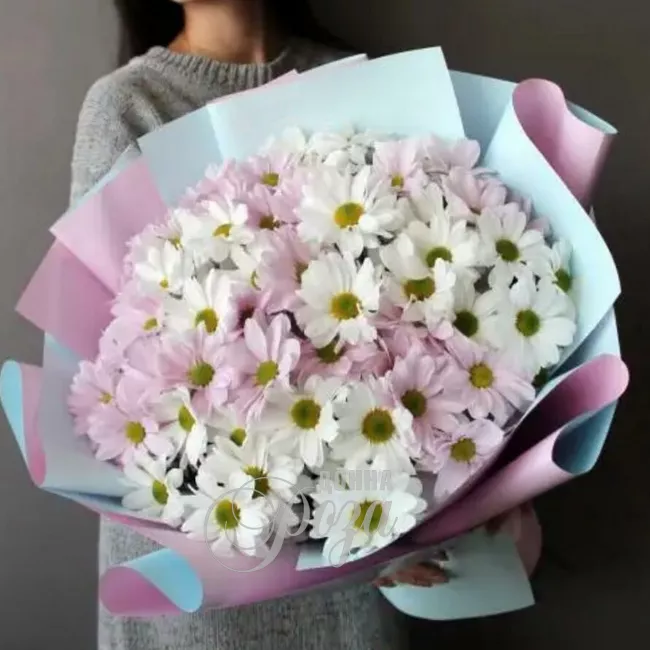 Монобукет &laquo;Бело-розовые хризантемы&raquo;