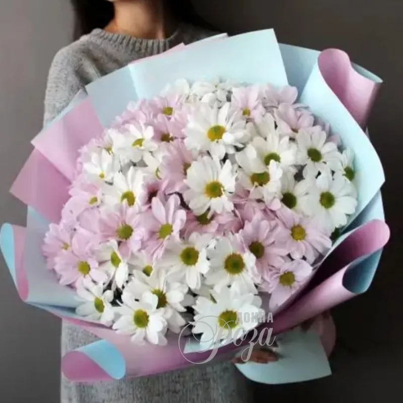 Монобукет &laquo;Бело-розовые хризантемы&raquo;