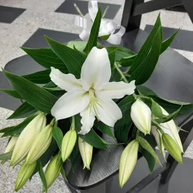 Монобукет &laquo;Лилия&raquo; от интернет-магазина «Донна Роза» в Кемерове