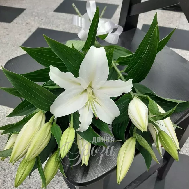 Монобукет &laquo;Лилия&raquo;