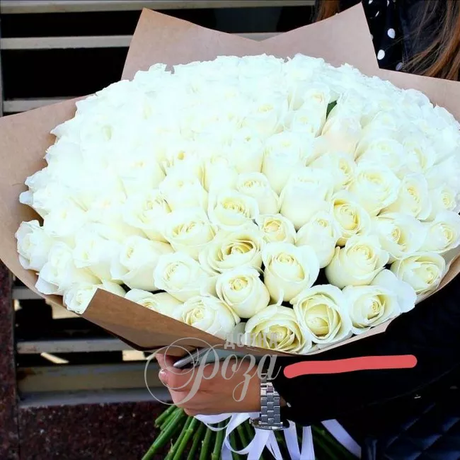 Моно букет из роз &laquo;Белоснежный&raquo;
