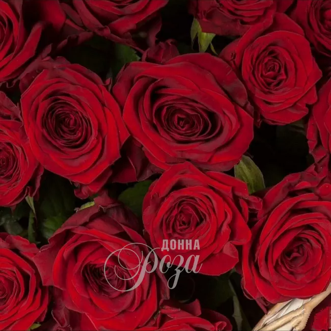 Корзина с 51 розой &laquo;Гран При&raquo; 1