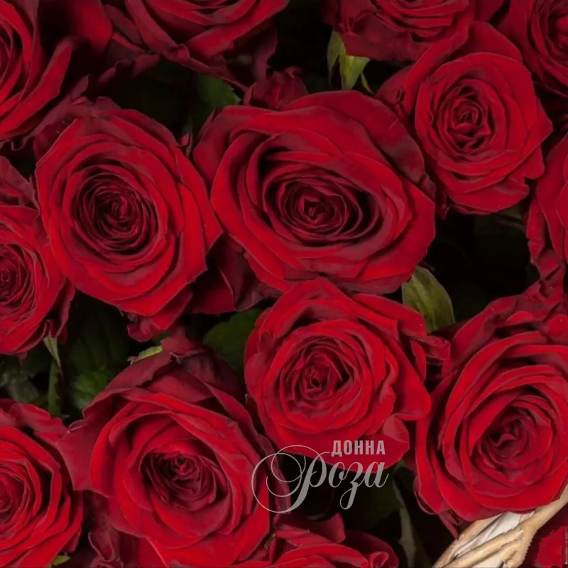 Корзина с 51 розой &laquo;Гран При&raquo; 1