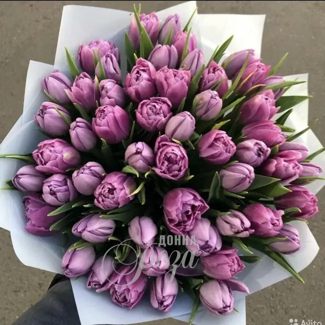 Монобукет тюльпанов &laquo;Надежда&raquo; 1