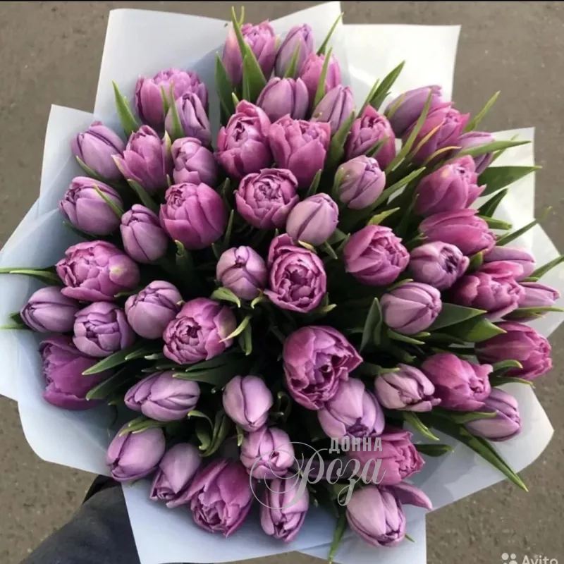 Монобукет тюльпанов &laquo;Надежда&raquo; 1