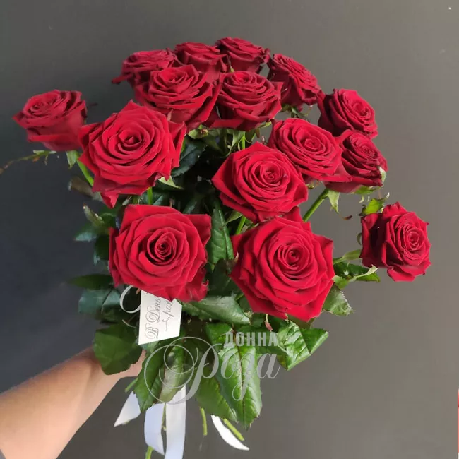 Красные розы 15 роз