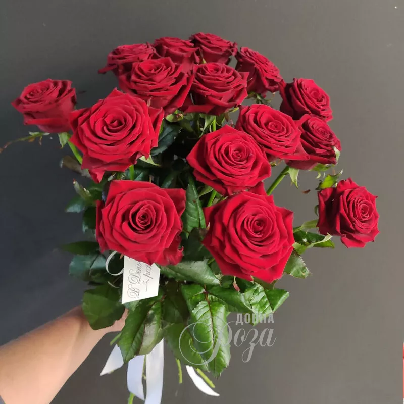 Красные розы 15 роз