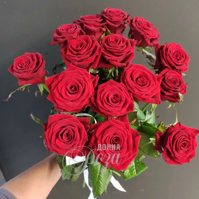 Красные розы 15 роз 1