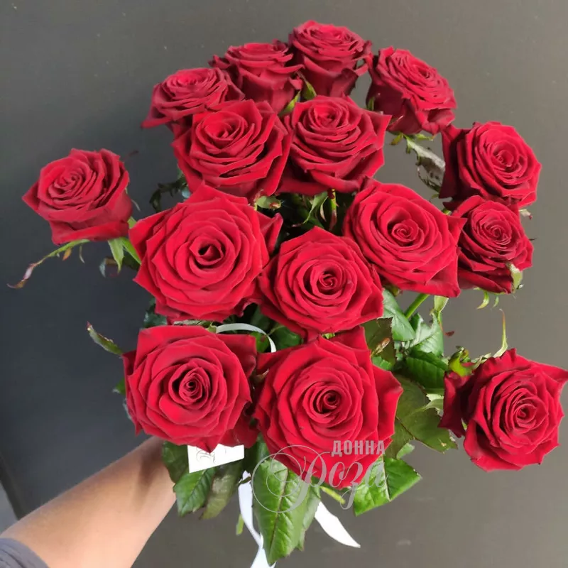Красные розы 15 роз 1