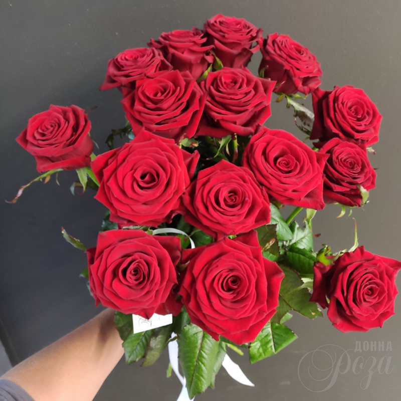 Красные розы 15 роз 1