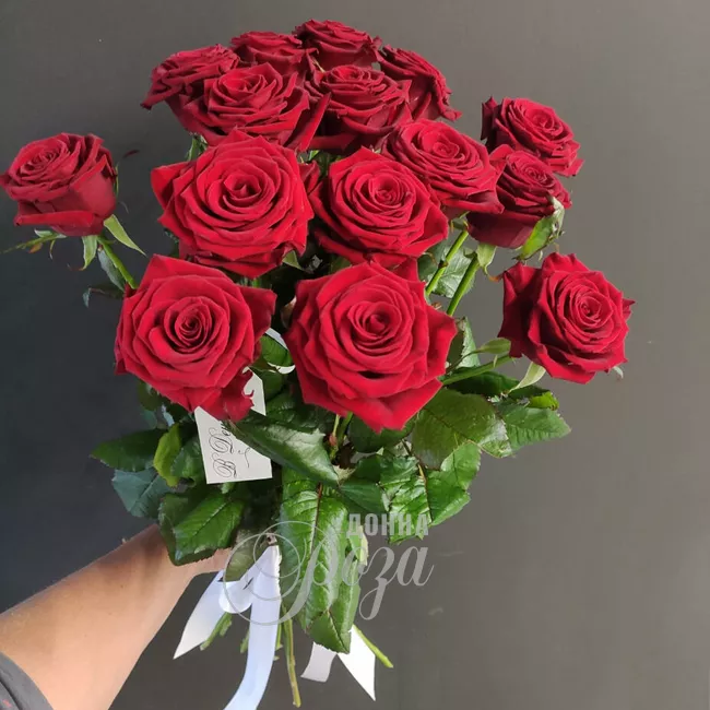 Красные розы 15 роз 2