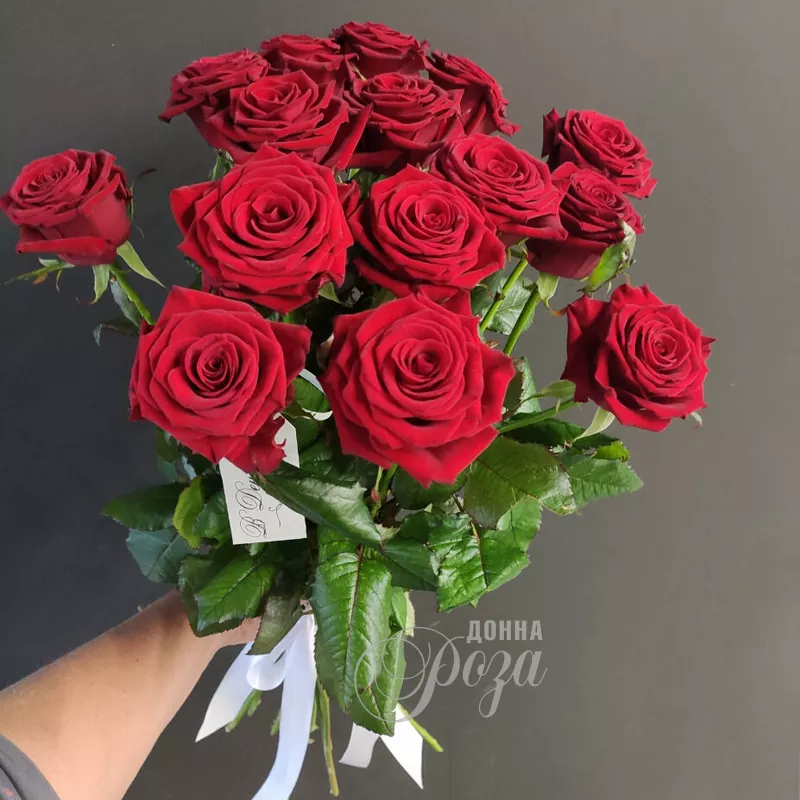 Красные розы 15 роз 2