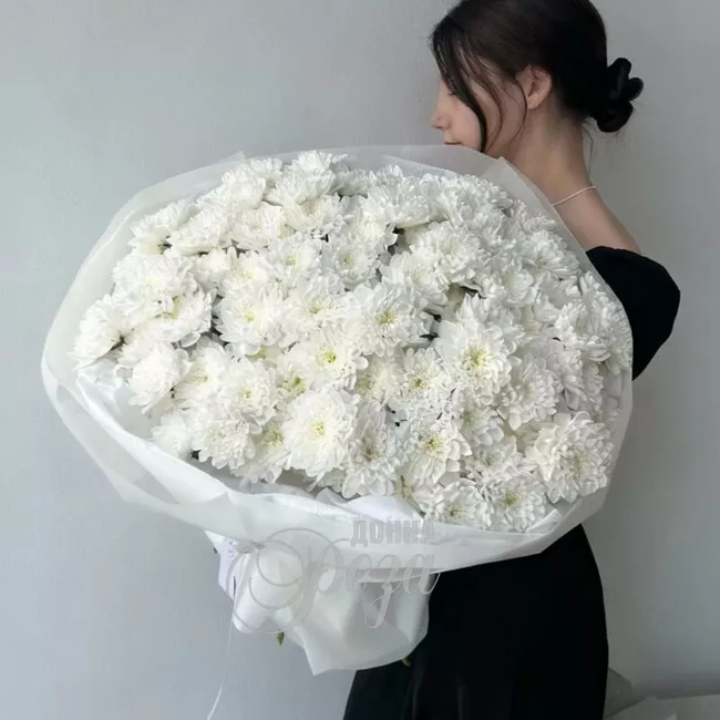 Хризантема кустовая &laquo;Алтай&raquo; 3