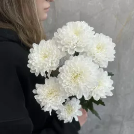 Хризантема кустовая &laquo;Алтай&raquo; от интернет-магазина «Донна Роза» в Кемерове