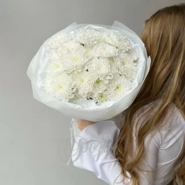 Хризантема кустовая &laquo;Алтай&raquo; 1