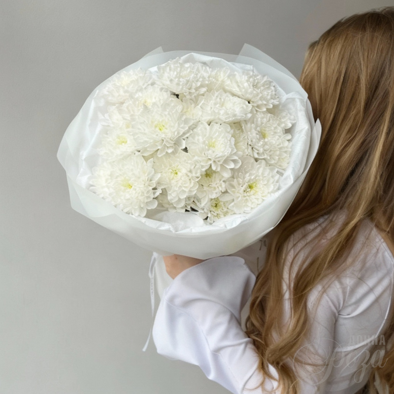 Хризантема кустовая «Алтай»