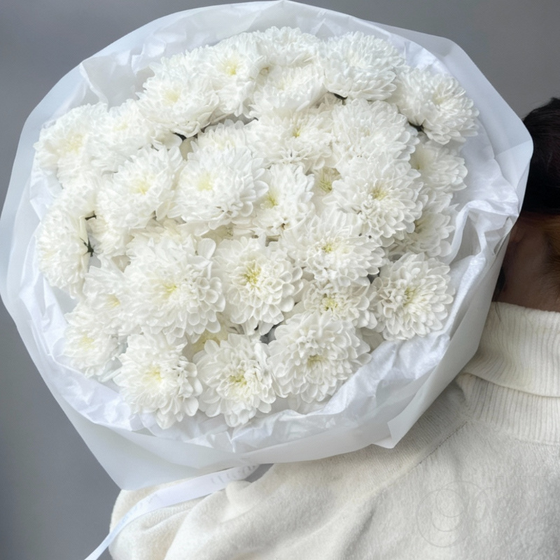 Хризантема кустовая «Алтай» 1