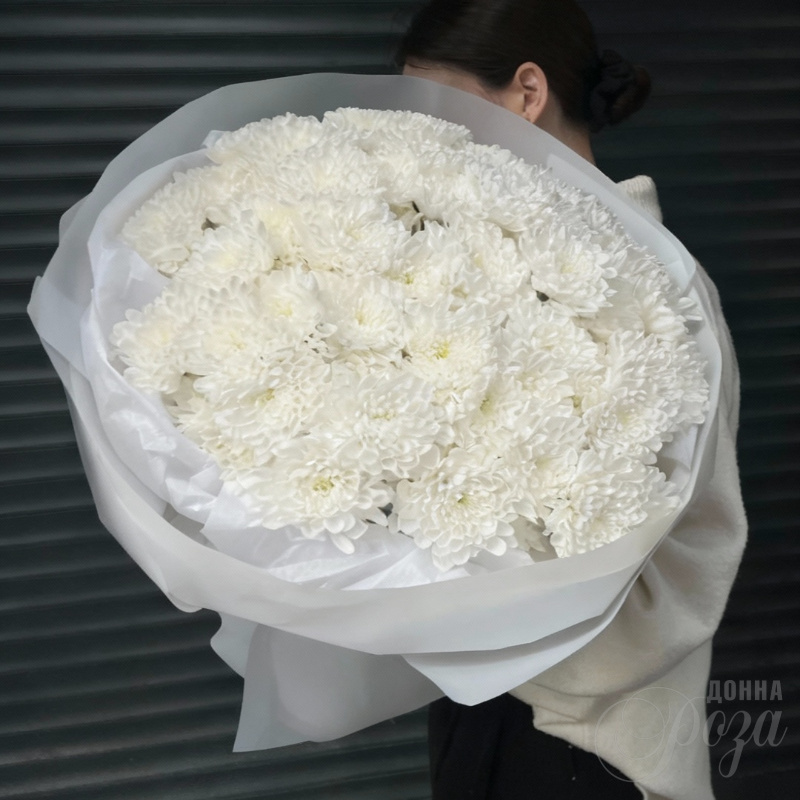 Хризантема кустовая «Алтай» 2