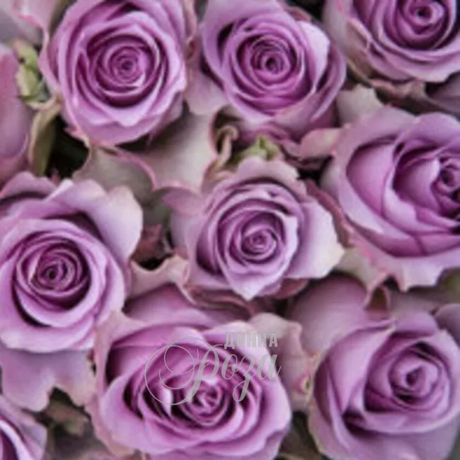 Букет &laquo;Песня соловушки&raquo; 1