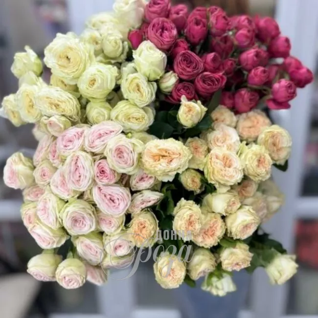 Кустовые розы 2