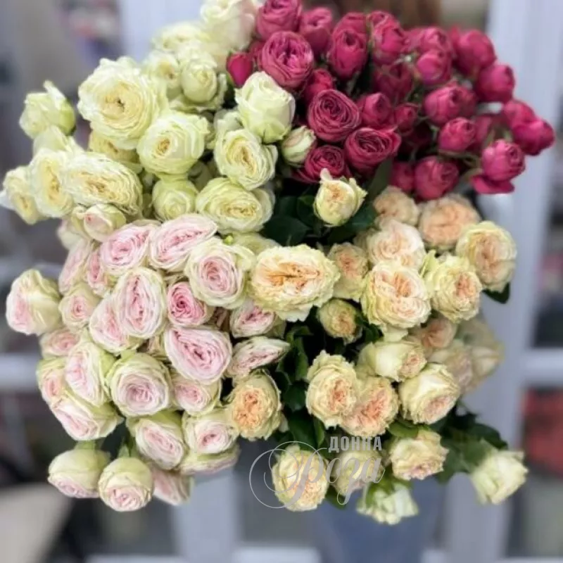 Кустовые розы 2