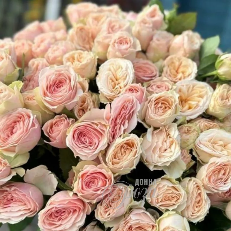 Кустовые розы 1