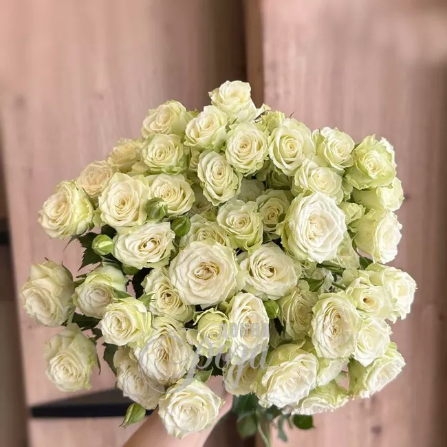 Кустовые розы 3