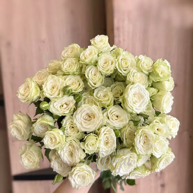 Кустовые розы 3