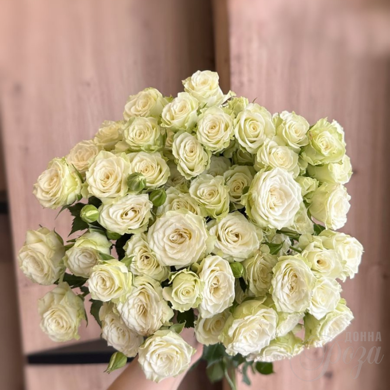 Кустовые розы 3