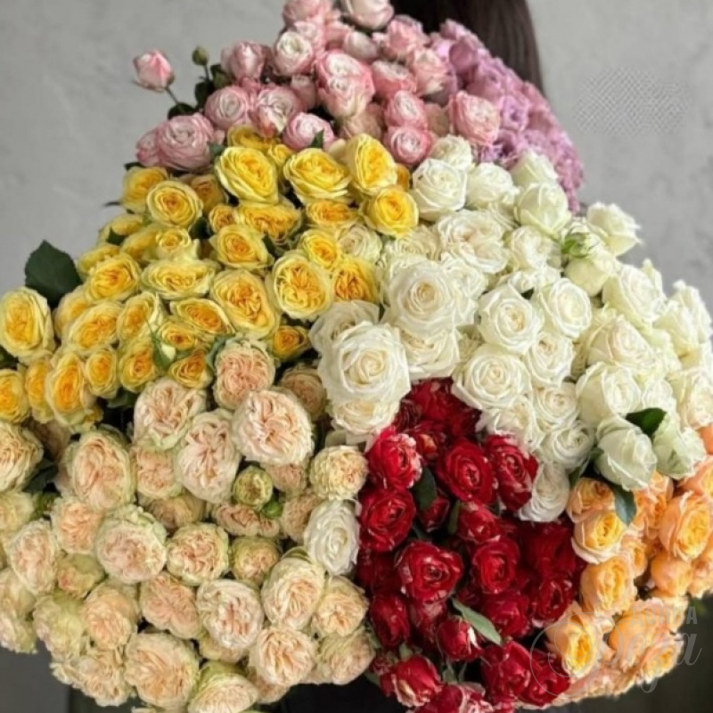 Кустовые розы