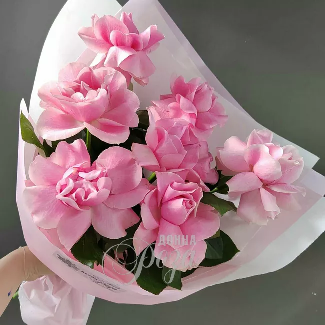 Розовое облако