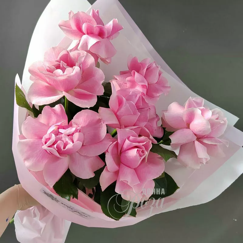 Розовое облако