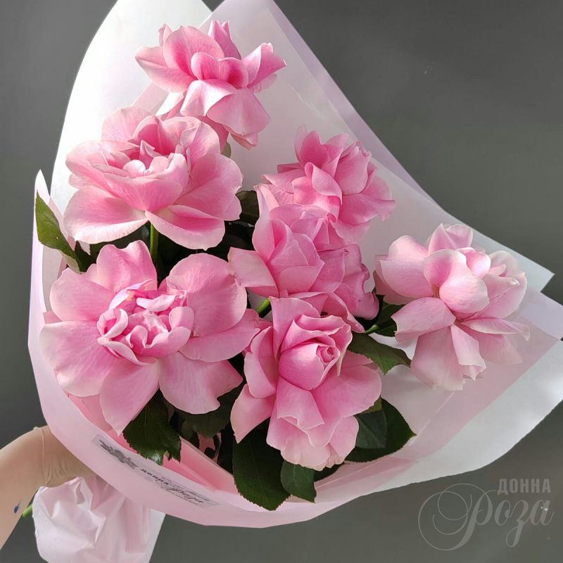 Розовое облако