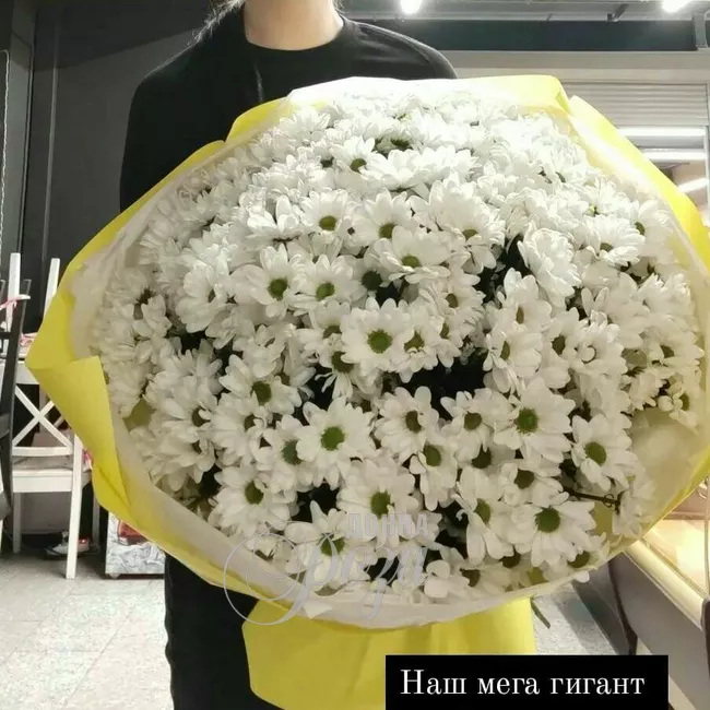 35 хризантем