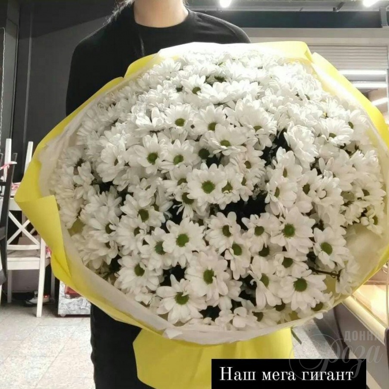 35 хризантем