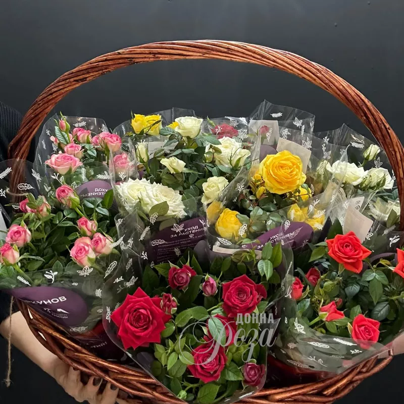 Крассула &laquo;Денежное дерево&raquo; 10