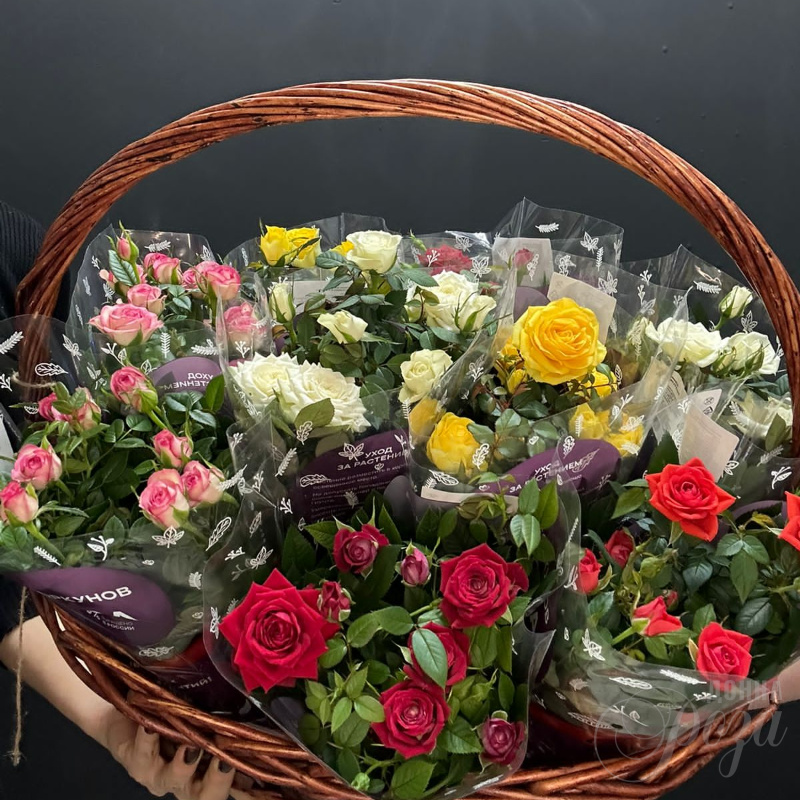 Крассула &laquo;Денежное дерево&raquo; 9